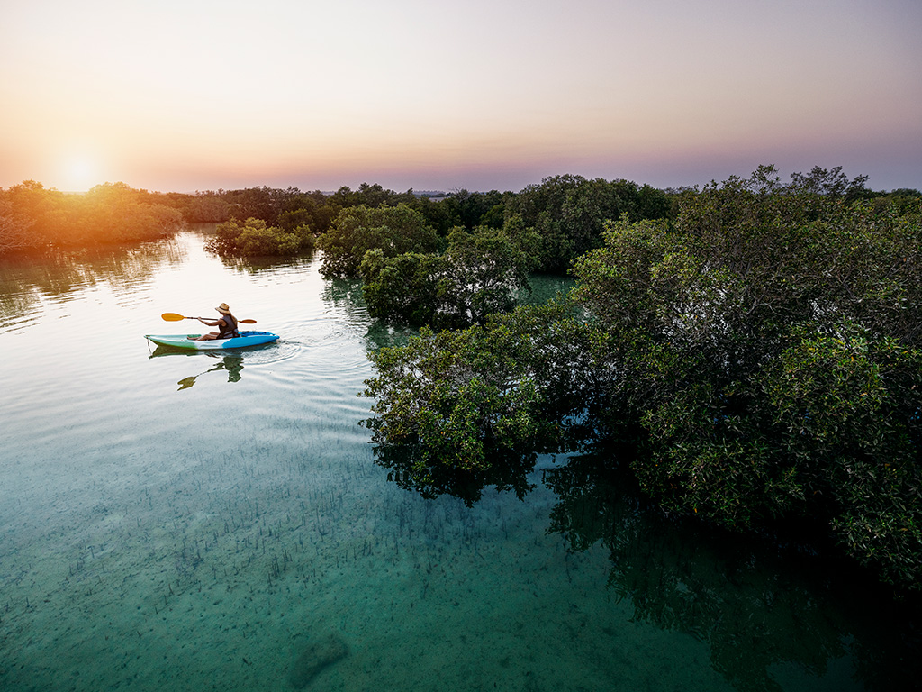  Abu Dhabi targets regional tourism  with Arabic e-learning platform